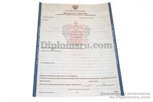 приложение к диплому о среднем специальном образовании до 2013 года